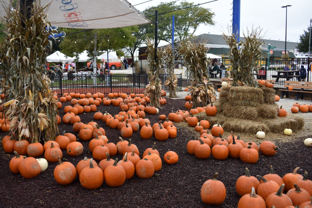 Harvest Fair Celebrates 25 Years in West Allis Wisconsin